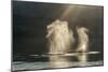 USA, Alaska, Tongass National Forest. Humpback whales spout on surface.-Jaynes Gallery-Mounted Photographic Print