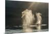 USA, Alaska, Tongass National Forest. Humpback whales spout on surface.-Jaynes Gallery-Mounted Premium Photographic Print