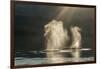 USA, Alaska, Tongass National Forest. Humpback whales spout on surface.-Jaynes Gallery-Framed Photographic Print