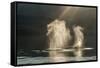 USA, Alaska, Tongass National Forest. Humpback whales spout on surface.-Jaynes Gallery-Framed Stretched Canvas