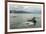 USA, Alaska, Tongass National Forest. Humpback whales surfacing & diving.-Jaynes Gallery-Framed Premium Photographic Print