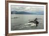 USA, Alaska, Tongass National Forest. Humpback whales surfacing & diving.-Jaynes Gallery-Framed Premium Photographic Print