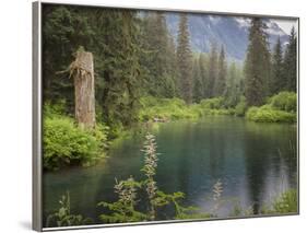 USA, Alaska, Tongass National Forest. Landscape with Beaver Pond on Fish Creek.-Jaynes Gallery-Framed Photographic Print