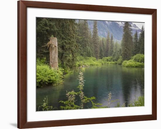 USA, Alaska, Tongass National Forest. Landscape with Beaver Pond on Fish Creek.-Jaynes Gallery-Framed Photographic Print