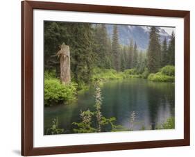 USA, Alaska, Tongass National Forest. Landscape with Beaver Pond on Fish Creek.-Jaynes Gallery-Framed Photographic Print