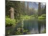 USA, Alaska, Tongass National Forest. Landscape with Beaver Pond on Fish Creek.-Jaynes Gallery-Mounted Photographic Print