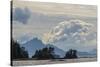 USA, Alaska, Tongass National Forest. Mountain and ocean landscape.-Jaynes Gallery-Stretched Canvas