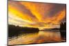 USA, Alaska, Tongass National Forest. Sunset landscape.-Jaynes Gallery-Mounted Photographic Print