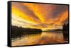 USA, Alaska, Tongass National Forest. Sunset landscape.-Jaynes Gallery-Framed Stretched Canvas