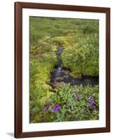 USA, Alaska. Upper Willow Creek and flowers.-Jaynes Gallery-Framed Photographic Print