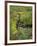 USA, Alaska. Upper Willow Creek and flowers.-Jaynes Gallery-Framed Photographic Print