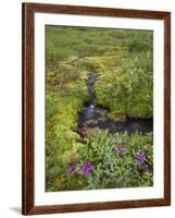 USA, Alaska. Upper Willow Creek and flowers.-Jaynes Gallery-Framed Photographic Print