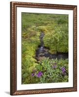 USA, Alaska. Upper Willow Creek and flowers.-Jaynes Gallery-Framed Photographic Print