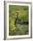 USA, Alaska. Upper Willow Creek and flowers.-Jaynes Gallery-Framed Photographic Print