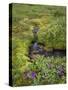 USA, Alaska. Upper Willow Creek and flowers.-Jaynes Gallery-Stretched Canvas