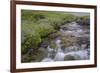 USA, Alaska. Upper Willow Creek and flowers.-Jaynes Gallery-Framed Photographic Print