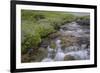 USA, Alaska. Upper Willow Creek and flowers.-Jaynes Gallery-Framed Photographic Print