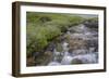 USA, Alaska. Upper Willow Creek and flowers.-Jaynes Gallery-Framed Photographic Print