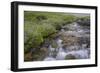 USA, Alaska. Upper Willow Creek and flowers.-Jaynes Gallery-Framed Photographic Print