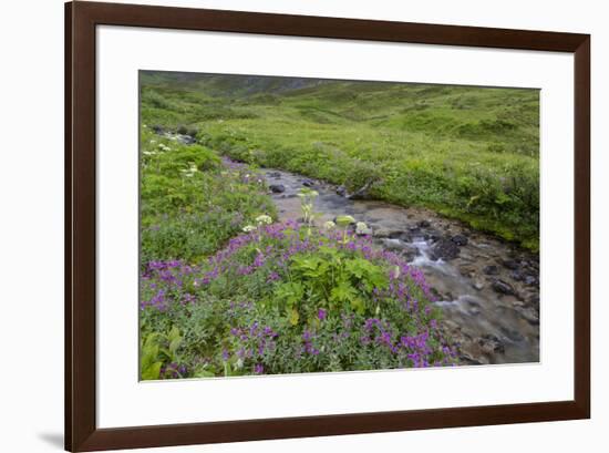 USA, Alaska. Upper Willow Creek and flowers.-Jaynes Gallery-Framed Premium Photographic Print