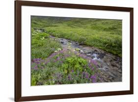 USA, Alaska. Upper Willow Creek and flowers.-Jaynes Gallery-Framed Premium Photographic Print