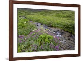 USA, Alaska. Upper Willow Creek and flowers.-Jaynes Gallery-Framed Premium Photographic Print