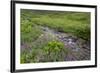 USA, Alaska. Upper Willow Creek and flowers.-Jaynes Gallery-Framed Premium Photographic Print
