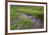 USA, Alaska. Upper Willow Creek and flowers.-Jaynes Gallery-Framed Premium Photographic Print