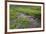 USA, Alaska. Upper Willow Creek and flowers.-Jaynes Gallery-Framed Premium Photographic Print