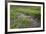 USA, Alaska. Upper Willow Creek and flowers.-Jaynes Gallery-Framed Premium Photographic Print