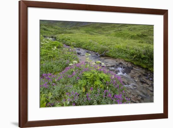 USA, Alaska. Upper Willow Creek and flowers.-Jaynes Gallery-Framed Premium Photographic Print