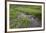 USA, Alaska. Upper Willow Creek and flowers.-Jaynes Gallery-Framed Premium Photographic Print