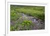 USA, Alaska. Upper Willow Creek and flowers.-Jaynes Gallery-Framed Photographic Print