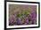 USA, Alaska, Upper Willow Creek. River and flowers.-Jaynes Gallery-Framed Premium Photographic Print