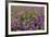 USA, Alaska, Upper Willow Creek. River and flowers.-Jaynes Gallery-Framed Premium Photographic Print