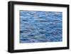 USA, Alaska. Water Abstract-Jaynes Gallery-Framed Photographic Print