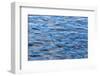 USA, Alaska. Water Abstract-Jaynes Gallery-Framed Photographic Print