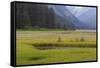 USA, Alaska, Windfall Harbor. Scenic of stream running through meadow.-Don Paulson-Framed Stretched Canvas