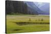 USA, Alaska, Windfall Harbor. Scenic of stream running through meadow.-Don Paulson-Stretched Canvas