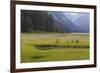 USA, Alaska, Windfall Harbor. Scenic of stream running through meadow.-Don Paulson-Framed Photographic Print