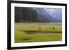 USA, Alaska, Windfall Harbor. Scenic of stream running through meadow.-Don Paulson-Framed Photographic Print