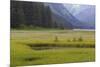 USA, Alaska, Windfall Harbor. Scenic of stream running through meadow.-Don Paulson-Mounted Photographic Print