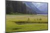 USA, Alaska, Windfall Harbor. Scenic of stream running through meadow.-Don Paulson-Mounted Photographic Print