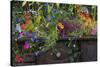USA, Alaska, Wiseman. Flowers planted in vintage cook stove.-Jaynes Gallery-Stretched Canvas