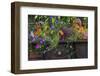 USA, Alaska, Wiseman. Flowers planted in vintage cook stove.-Jaynes Gallery-Framed Photographic Print