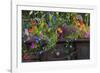 USA, Alaska, Wiseman. Flowers planted in vintage cook stove.-Jaynes Gallery-Framed Photographic Print