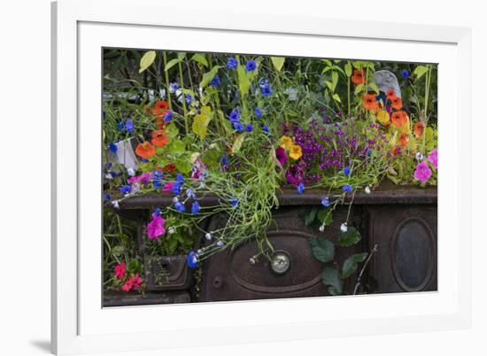 USA, Alaska, Wiseman. Flowers planted in vintage cook stove.-Jaynes Gallery-Framed Premium Photographic Print