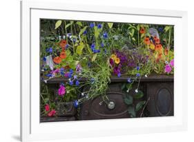 USA, Alaska, Wiseman. Flowers planted in vintage cook stove.-Jaynes Gallery-Framed Premium Photographic Print