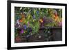 USA, Alaska, Wiseman. Flowers planted in vintage cook stove.-Jaynes Gallery-Framed Premium Photographic Print