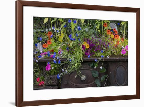 USA, Alaska, Wiseman. Flowers planted in vintage cook stove.-Jaynes Gallery-Framed Premium Photographic Print